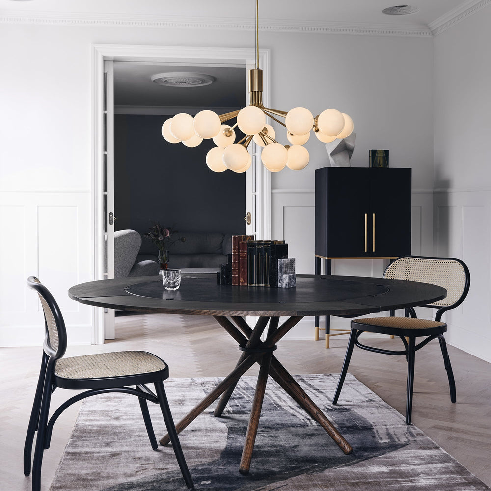 Apiales Chandelier