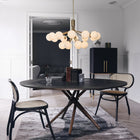 Apiales Chandelier