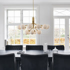 Apiales Chandelier