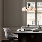Apiales Chandelier