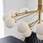 Apiales Chandelier