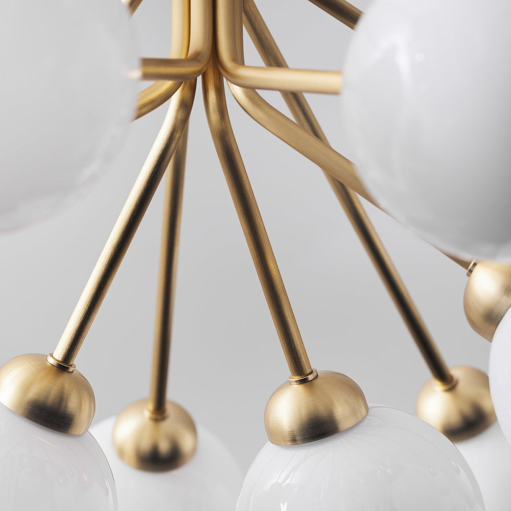 Apiales Chandelier