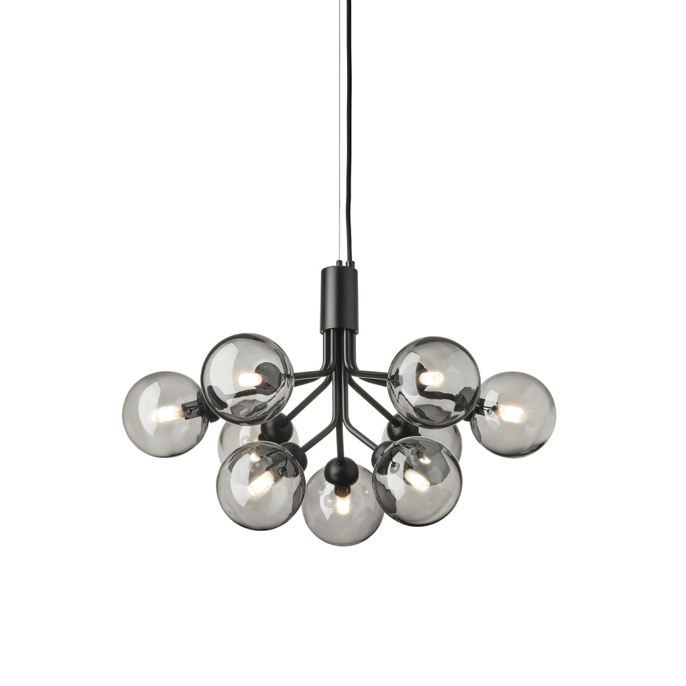 Apiales Chandelier