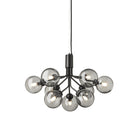 Apiales Chandelier