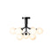 Apiales Semi Flush Mount  option Satin Black