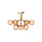Apiales Semi Flush Mount  option Gold