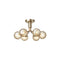 Apiales Semi Flush Mount  option Optic Gold
