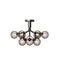 Apiales Semi Flush Mount  option Smoked Black