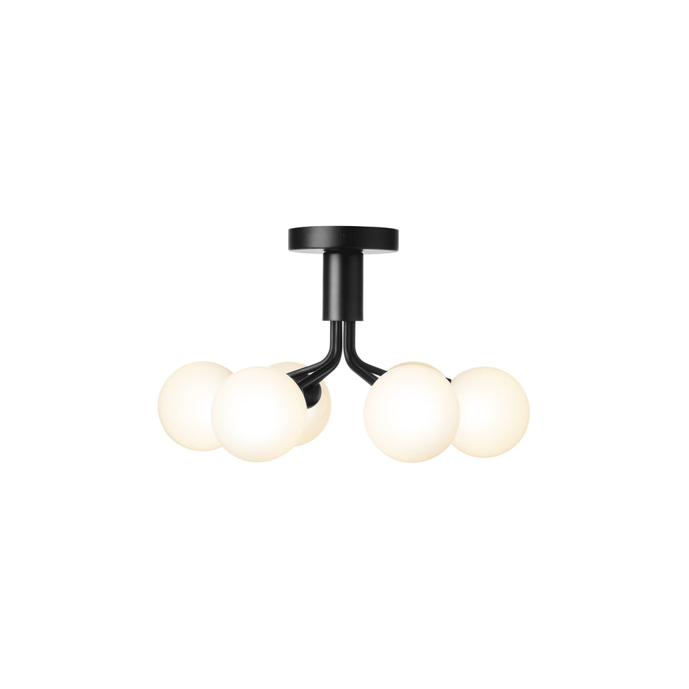 Apiales Semi Flush Mount