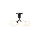 Apiales Semi Flush Mount