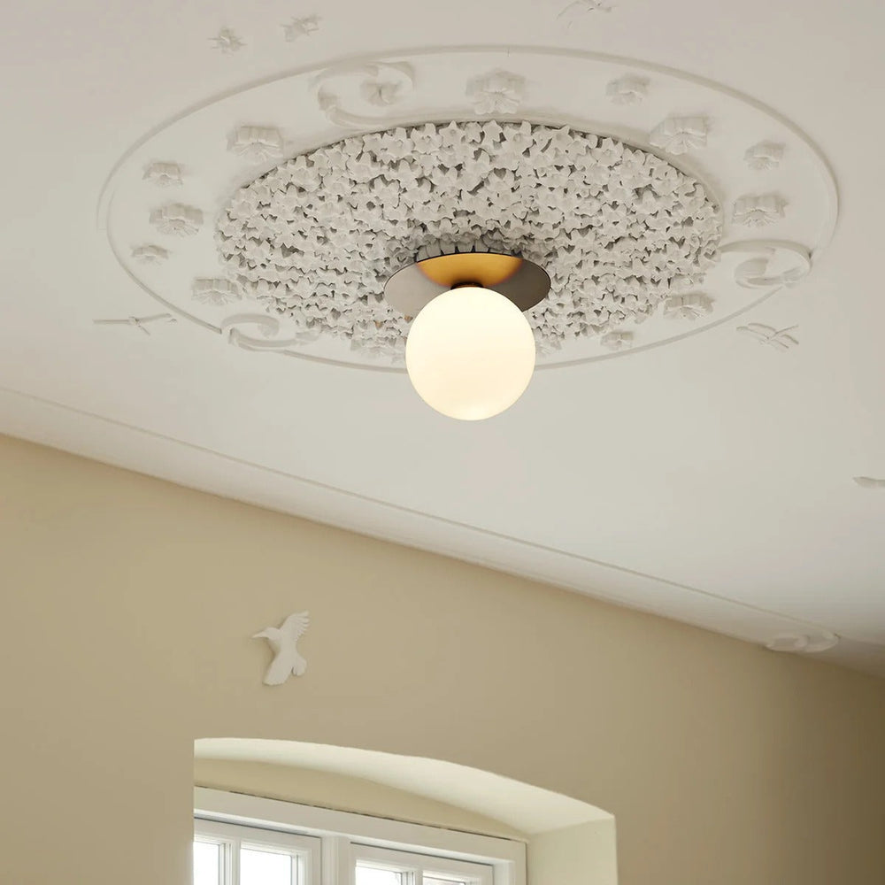 Liila Wall/Ceiling Light