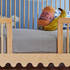 Moss Crib Conversion Kit