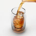 Sio Dual-Wall Glass (Set of 4)