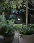 Berlin Outdoor Wall Sconce