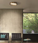 Berlin Wall / Ceiling Light