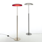 Dora Floor Lamp