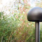 Otto Path Light