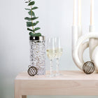 Carat Champagne Flute (Set of 2)