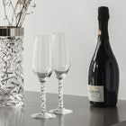 Carat Champagne Flute (Set of 2)