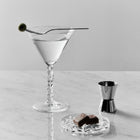 Carat Martini Glass (Set of 2)