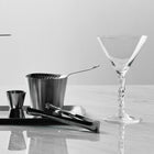 Carat Martini Glass (Set of 2)