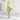 Carat Vase