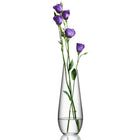 Enjoy Carafe