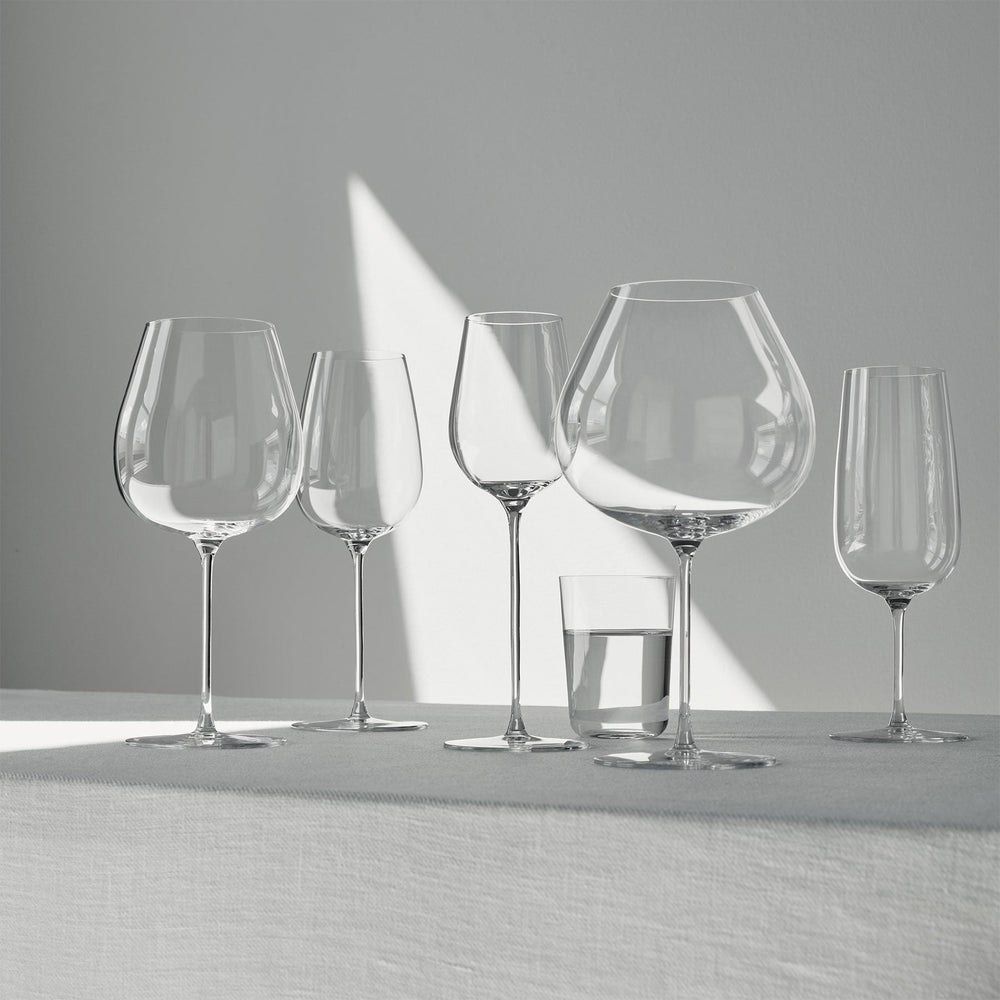 Frantzen Champagne Glass (Set of 2)