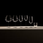 Frantzen Champagne Glass (Set of 2)