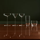 Frantzen Martini Glass (Set of 2)