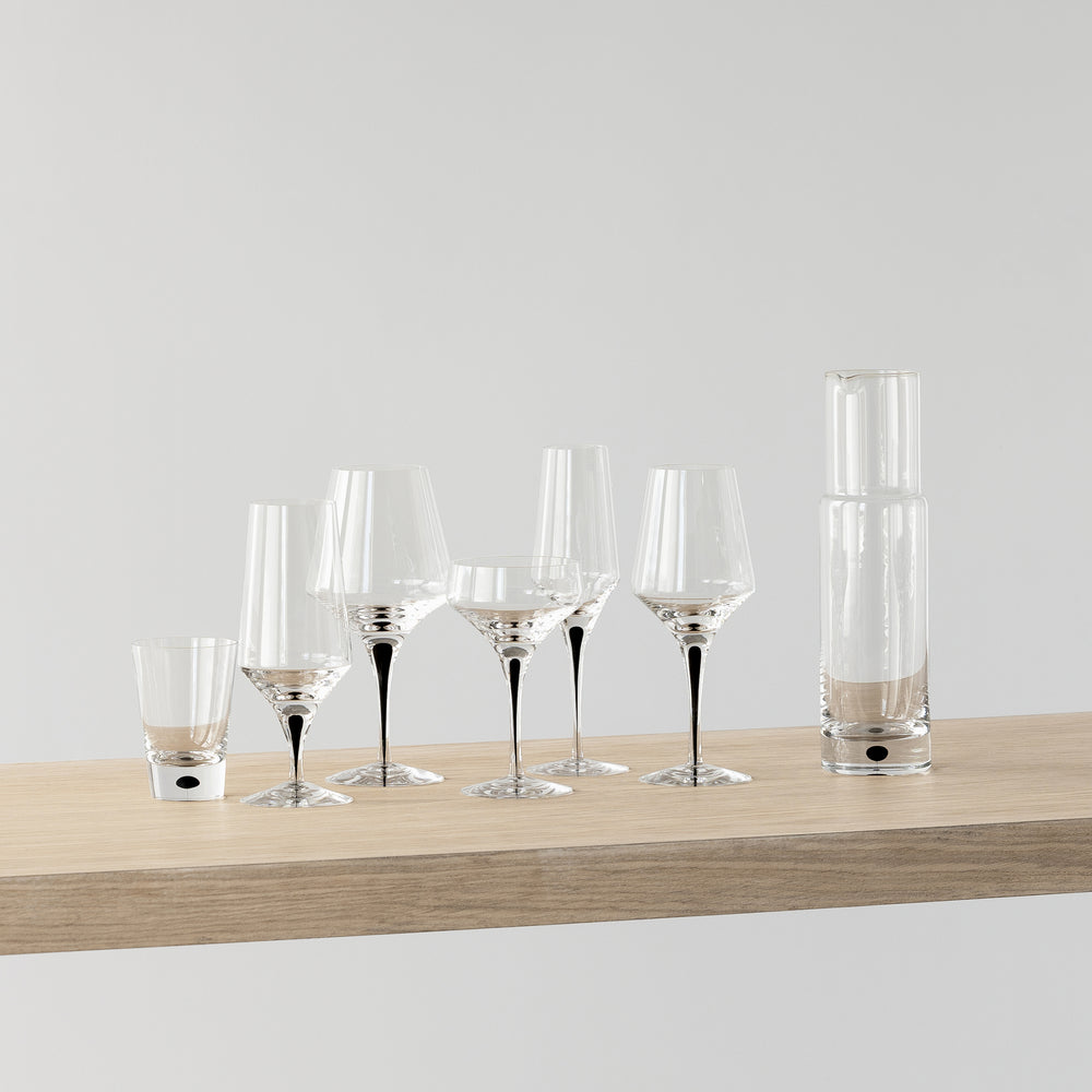Metropol Coupe Glass (Set of 2)