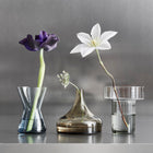 Midsummer Mini Peach-Leaved Bellflower Vase