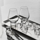 More Tequila/Whiskey Tasting Glass (Set of 4)