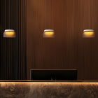 Totem Mini Downlight Pendant Light