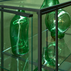 Tangled Display Cabinet