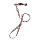 Adventure Collar Set