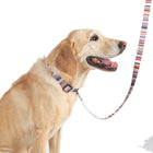 Adventure Collar Set