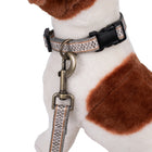 Adventure Collar Set