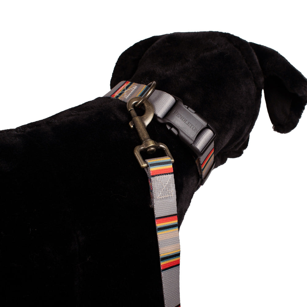 Adventure Collar Set