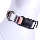 Adventure Collar Set