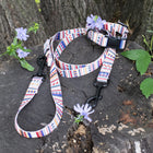 Adventure Collar Set
