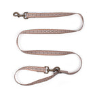 Adventure Collar Set