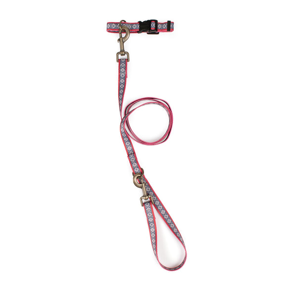 Adventure Collar Set