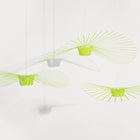 Vertigo Limited Edition Pendant Light