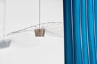 Vertigo Pendant Light