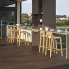 Paralel Bar Stool
