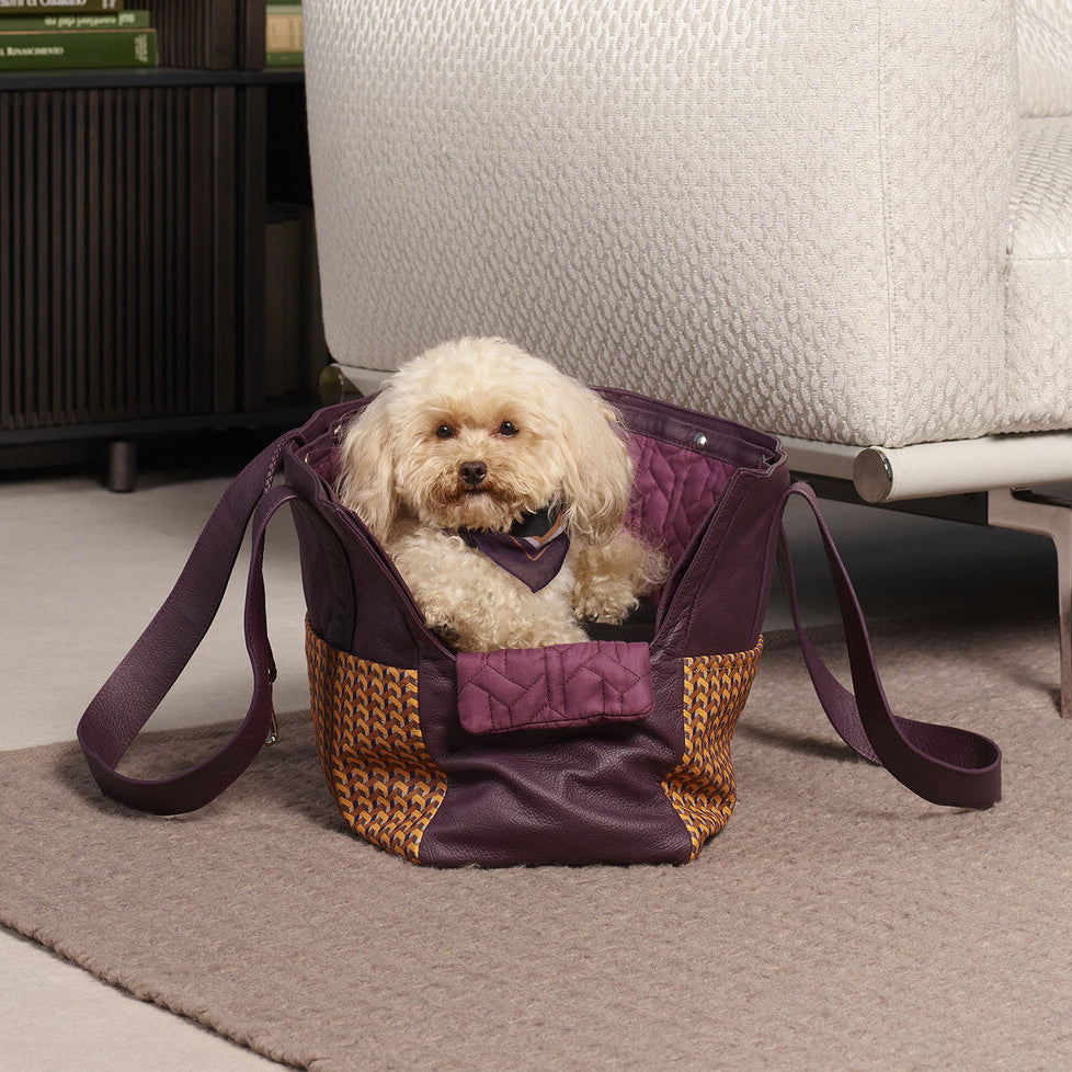 Dog Bag