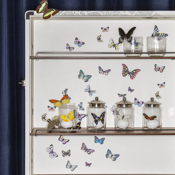 Fornasetti x Poltrona Frau Isidoro Ultime Notizie Drinks Cabinet