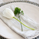 Mendocino Napkin (Set of 4)