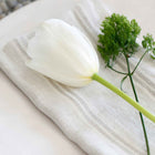 Mendocino Napkin (Set of 4)